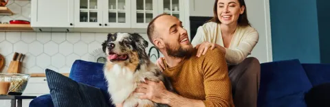 playing with a tick free dog on a couch