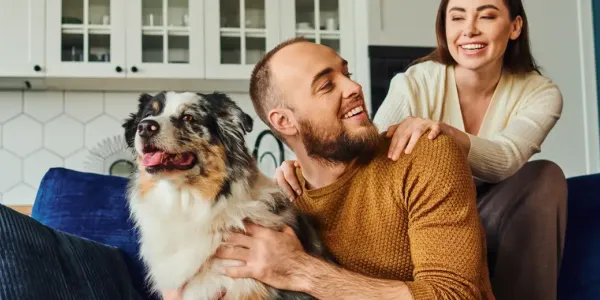 playing with a tick free dog on a couch